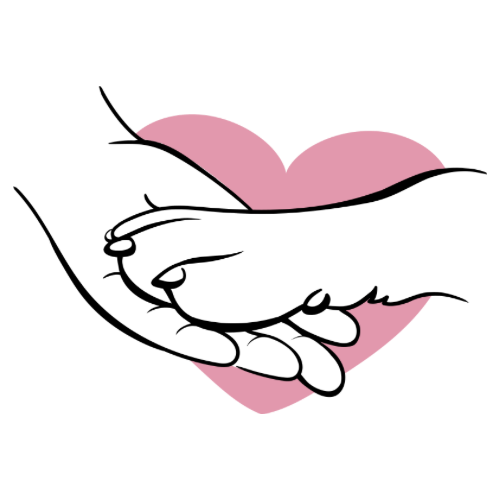 Untitled design